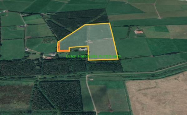Approx 13.89 Acres Land at Gortadrislig, Lixnaw