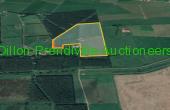 DPA Ref:570, Approx 13.89 Acres Land at Gortadrislig, Lixnaw